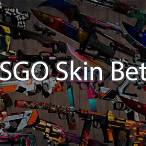 bet with csgo skins